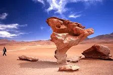 The Tree Stone in in the Siloli Desert of the Uyuni Salar in
