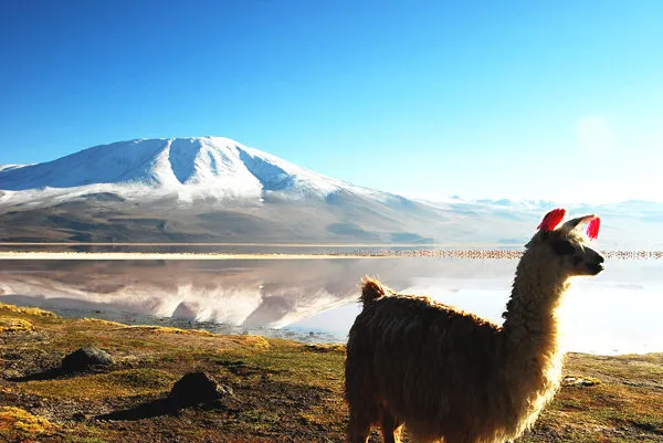 Uyuni Salar Salt Flats 3 Days