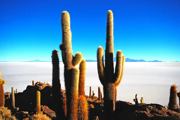 Uyuni Salar Salt Flats 3 Days