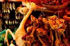 Dried llama fetuses in the Witch's Market in La Paz, Bolivia