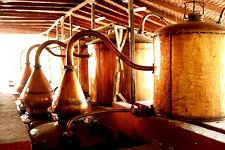 Distilling Pisco in traditional bodega in Ica, Peru.