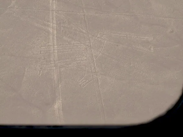 Flight Over the Nazca Lines