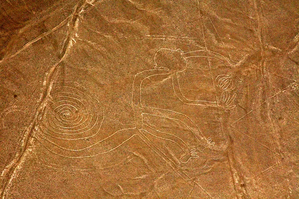 Flight Over the Nazca Lines