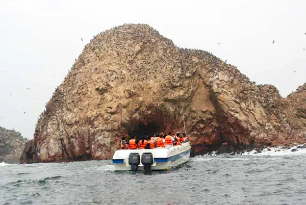 Paracas Reserve and Ballestas Islands