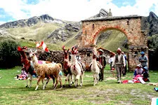 Llamas in front of Chivay arch in Colca Canyon near Arequipa