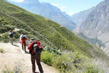 Trekkers hiking to Sangalle Oasis in Colca Canyon near Arequ