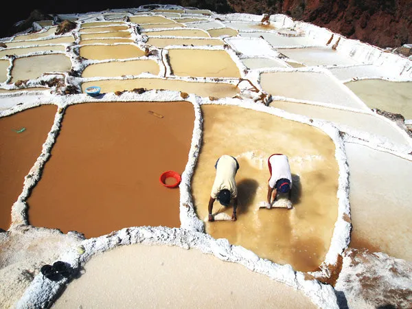 Half-Day Maras Moray