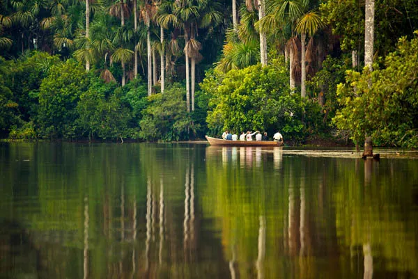 Jungla Espectacular