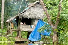 Hogar de familia amazónica, Peru