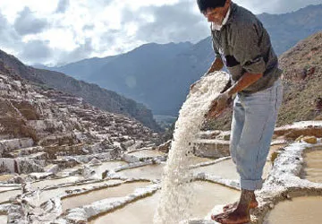 Inca World Travel
