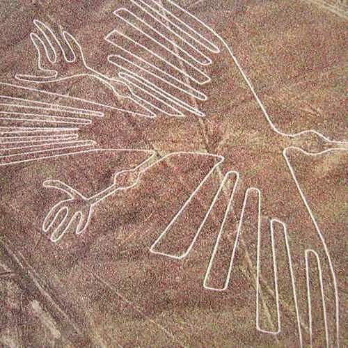 Sobrevuelo en avioneta a las líneas de Nazca